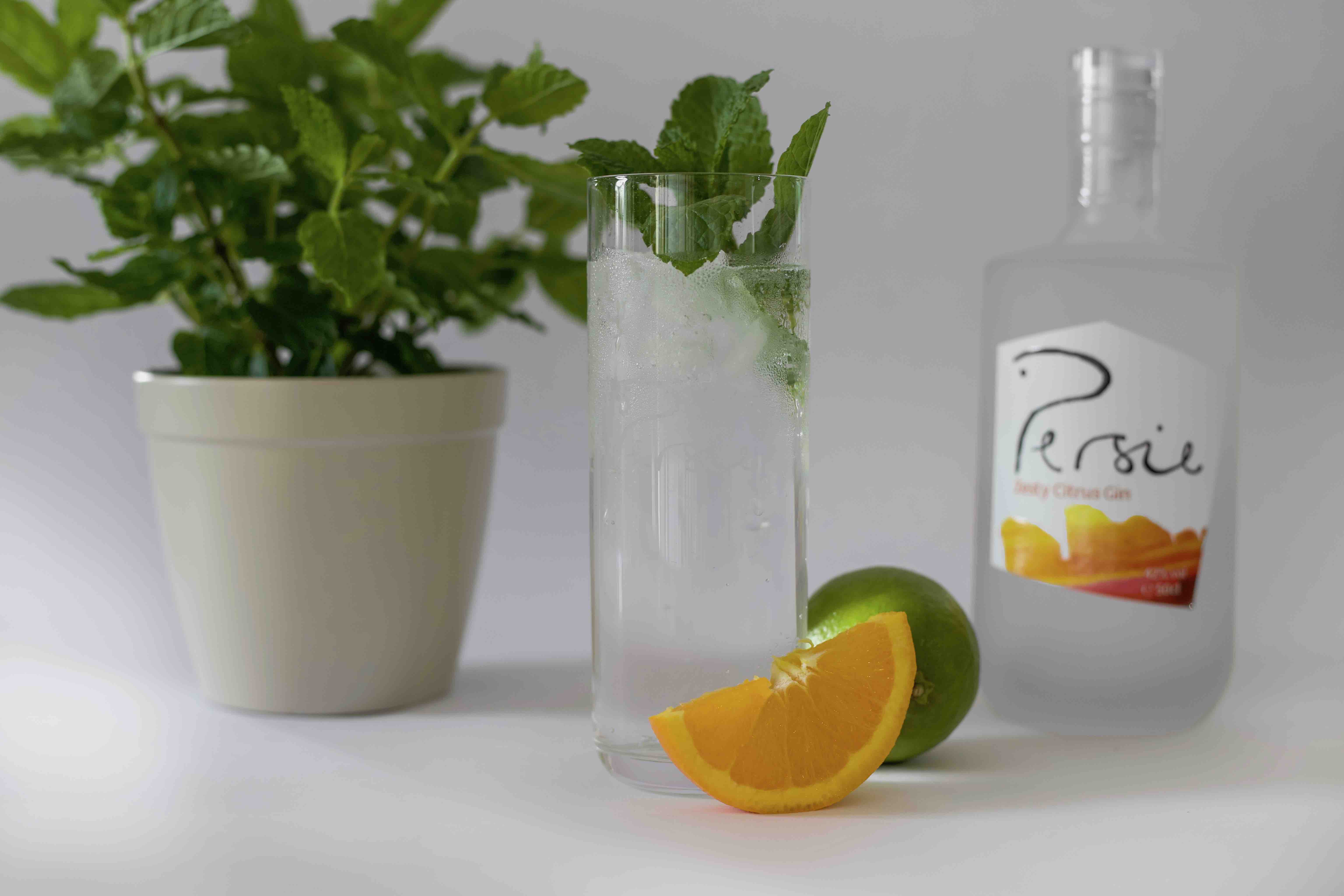 Zesty Citrus Gin – Persie Distillery 